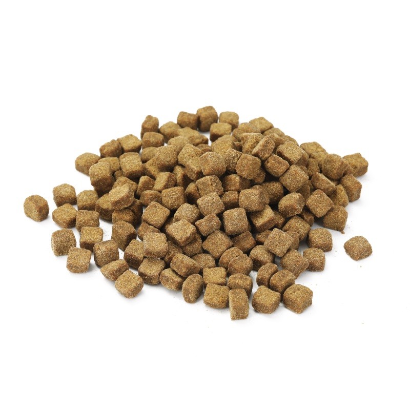 Pet Supplements Factory - OEM Nutritional Probiotics Chews Immunity Health