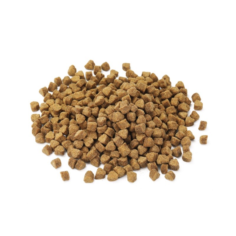 Pet Food Manufacturer - China Halal Pet Snacks Health Product Manufacturers