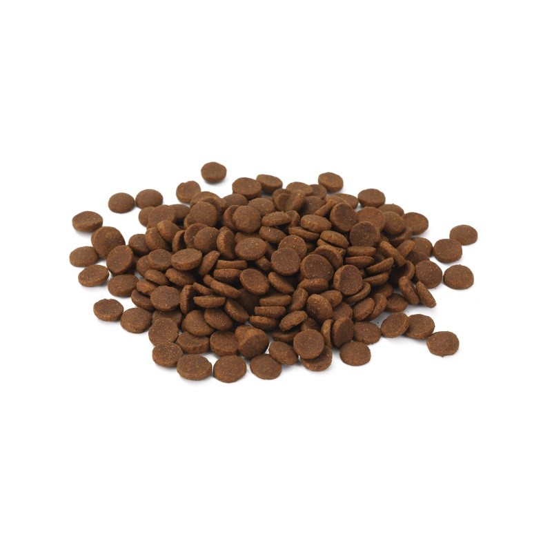 Dry Dog Snack Manufacturer - OEM ODM Bulk Puppy Food Natural Pet Food