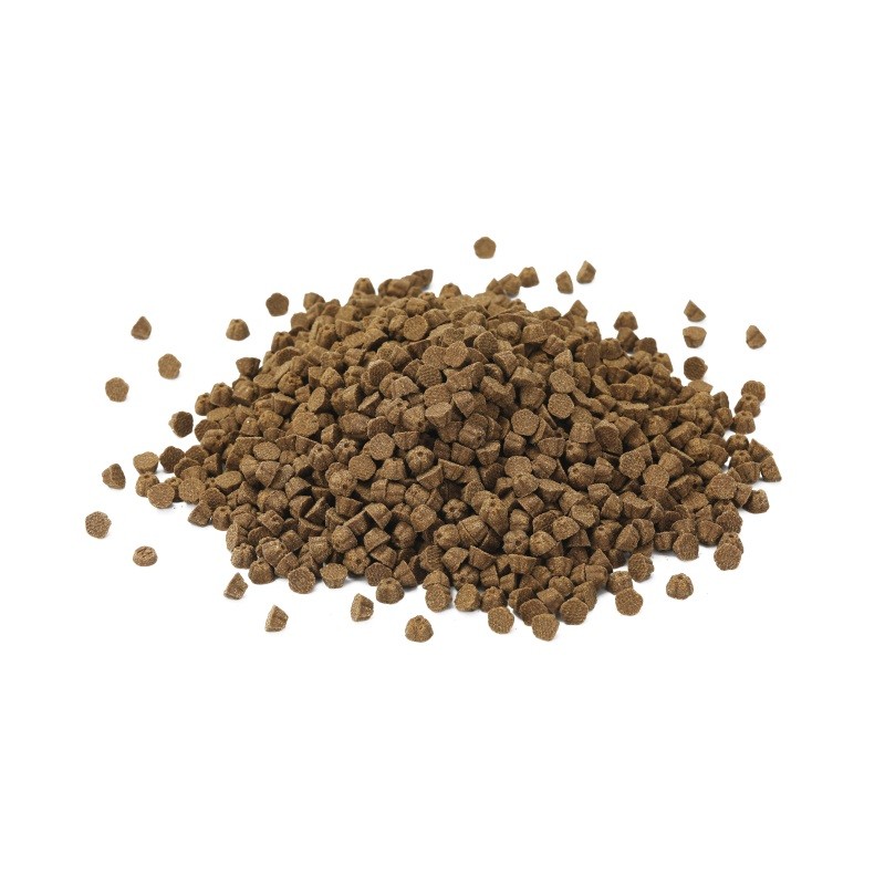 Baked Cat Food Supplier - Helps Digestion Easily Absorbed Enzymatic Breakdown