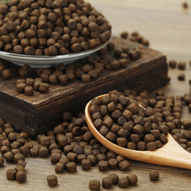 Cat Food Manufacturer - Factory Exports Natural Raw Round Shapes Gut Care