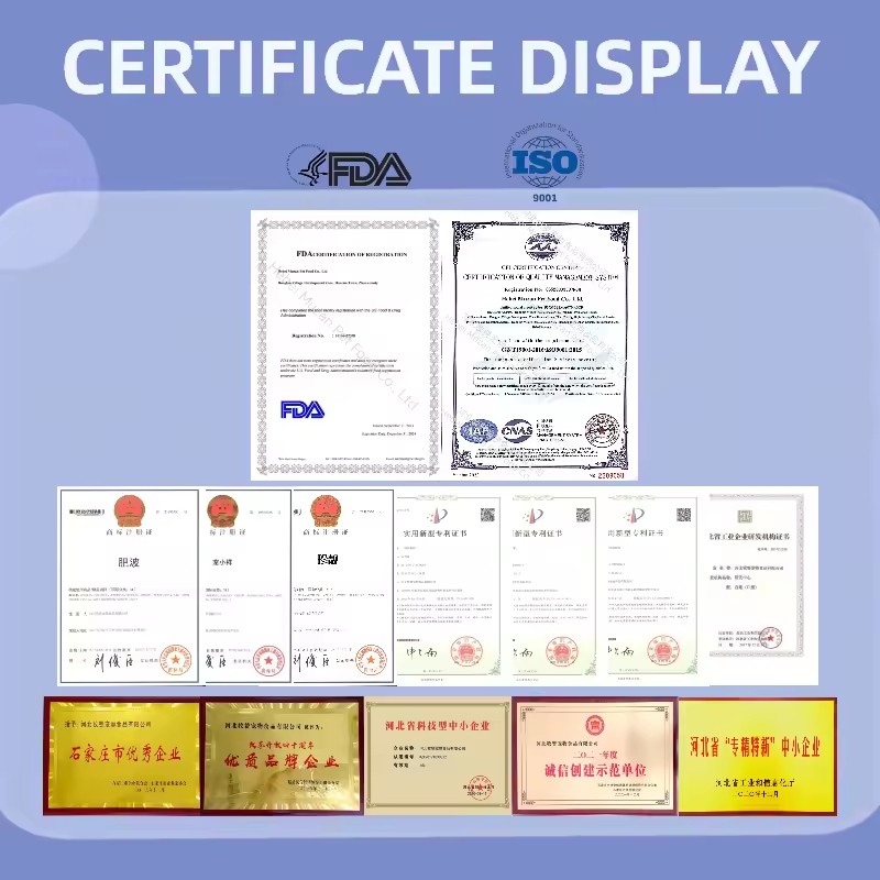 Cat Litter Supplier - Wholesale Best Natural Bentonite Eco-friendly Litter