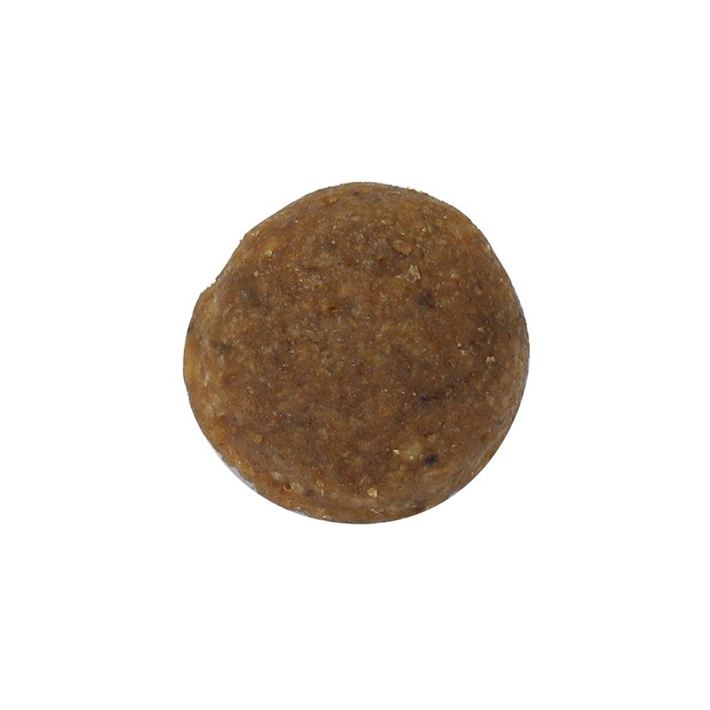 Dog Food Factory - Wholesale Bulk Pet Food with Probiotics for Dogs