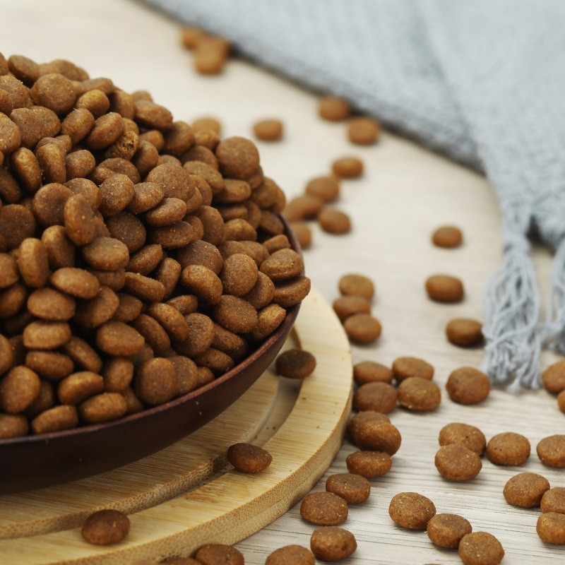 Cat Dry Food Supplier - Competitive Price High Protein Pure Natural All Ages