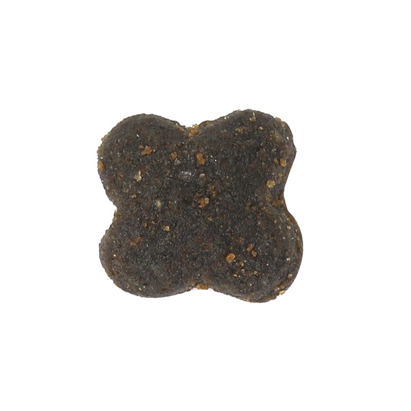 Dry Dog Food Manufacturer - Natural Organic Fresh Meat Injection Formula