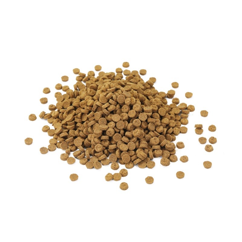 Freeze-Dried Treats Manufacturer - OEM Brand Direct Factory Supply Chicken Cubes