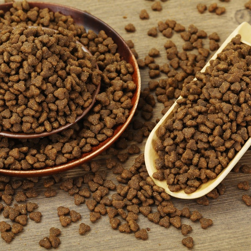 Animal Feed Supplier - All Life Stage High Meat Protein Cheap Cat Food