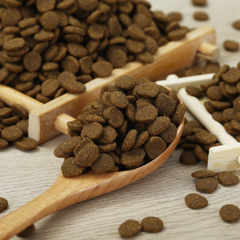 Cat Dry Food Factory - Best-selling High Quality High Protein Fat Cat Food