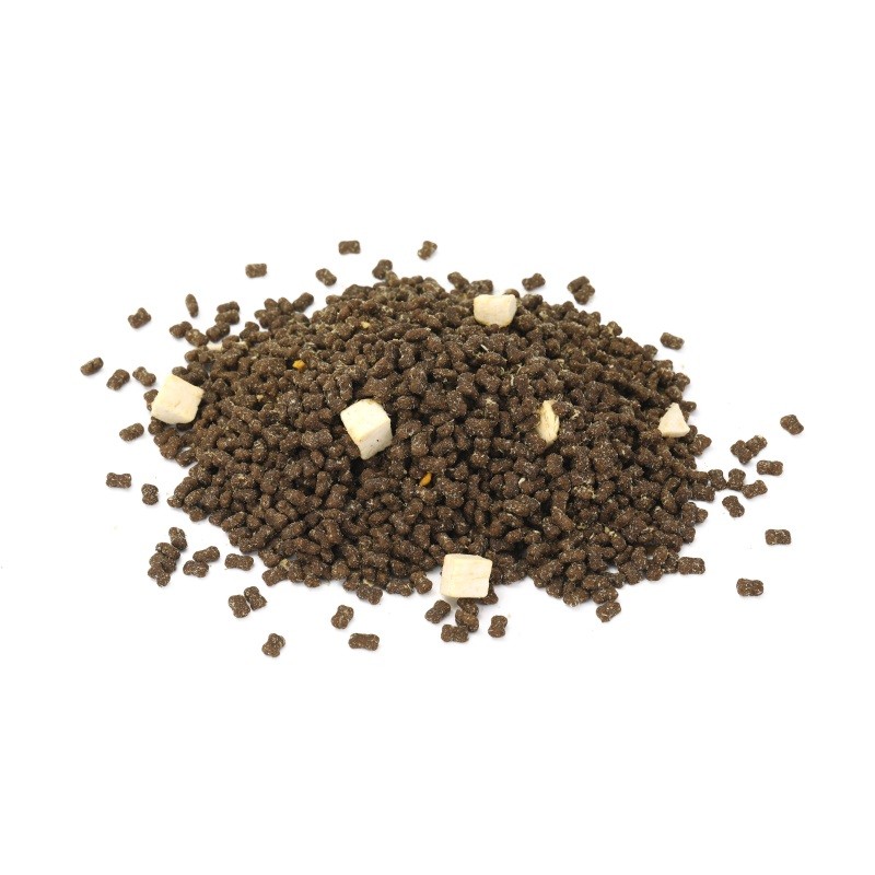 Dog Food Manufacturer - OEM ODM FDA Wholesale Source Factory Organic Healthy