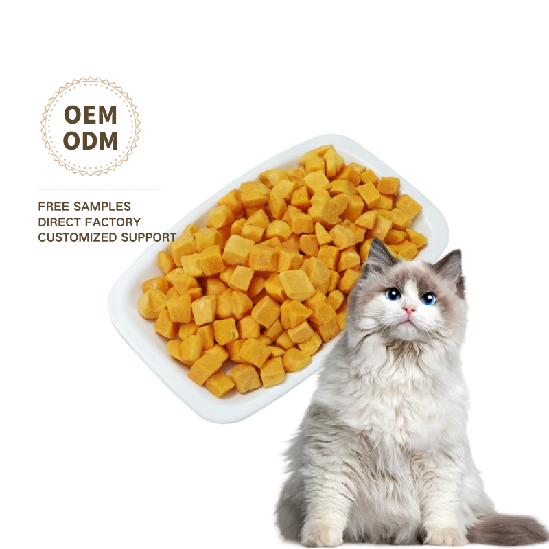Dog Dry Food Supplier - OEM ODM Wholesale Price Organic Healthy Delicious