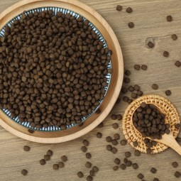 Dry Dog Food Manufacturer - Factory Exports Customized Bone Shaped 12%-20% Fat