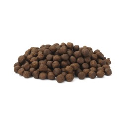 Pet Food Supplier - OEM ODM Factory Customized Grain Free Various Shapes