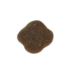 Pet Food Factory - OEM ODM Wholesale Price Organic Healthy Delicious