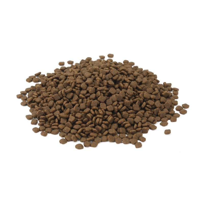 Pet Food Factory - OEM ODM Wholesale Price Organic Healthy Delicious