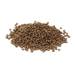 Dog Food Supplier - OEM ODM Wholesale Price Organic Healthy Pure Natural