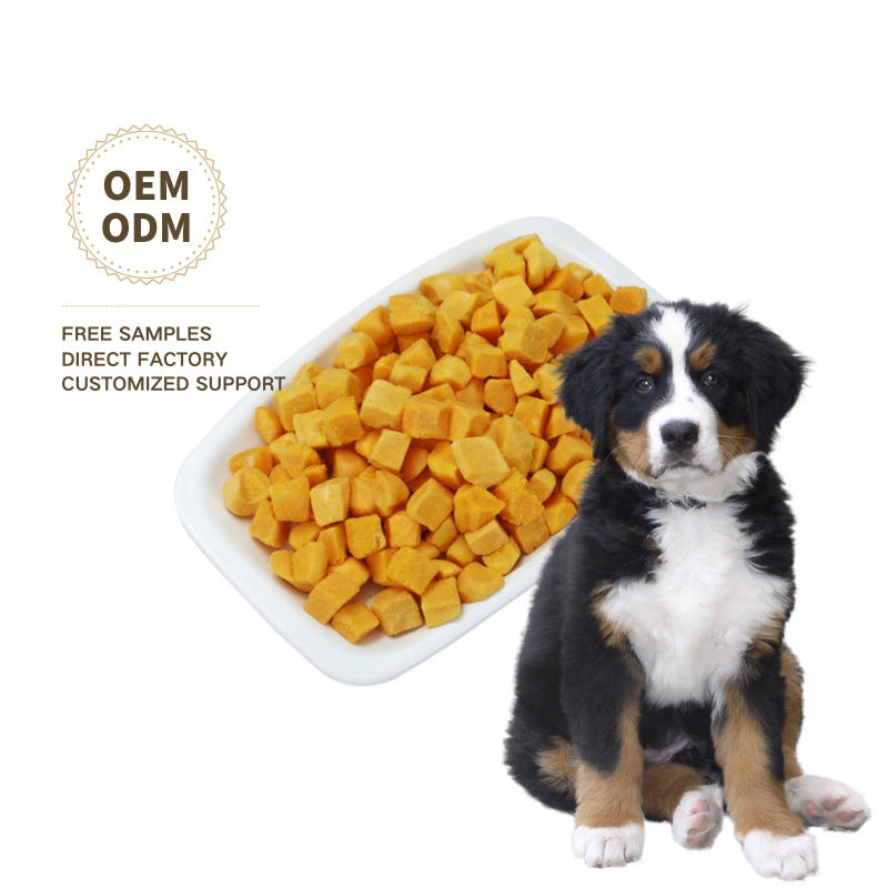 Dog Dry Food Supplier - OEM ODM Wholesale Price Organic Healthy Delicious