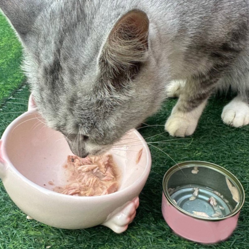 Canned Food Supplier - Wet Food for Cats Dogs Meat Snack