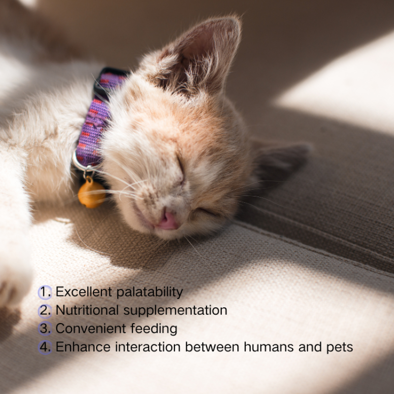 Dry Dog Food Manufacturer - Satisfied Natural Wholesale Bulk