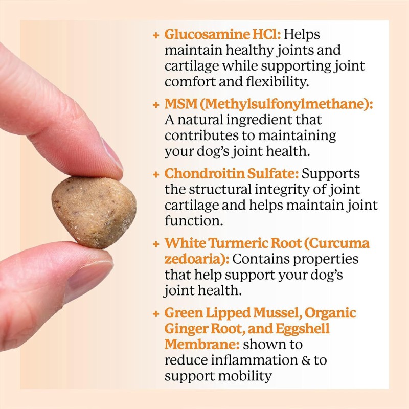 Pet Nutrition Manufacturer - Scientifically Formulated Joint Care