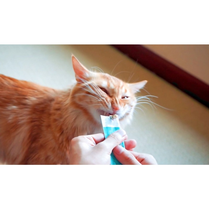 Ice Cream Mold Supplier - 3 Cavity Cartoon Paw Shape Cat Food