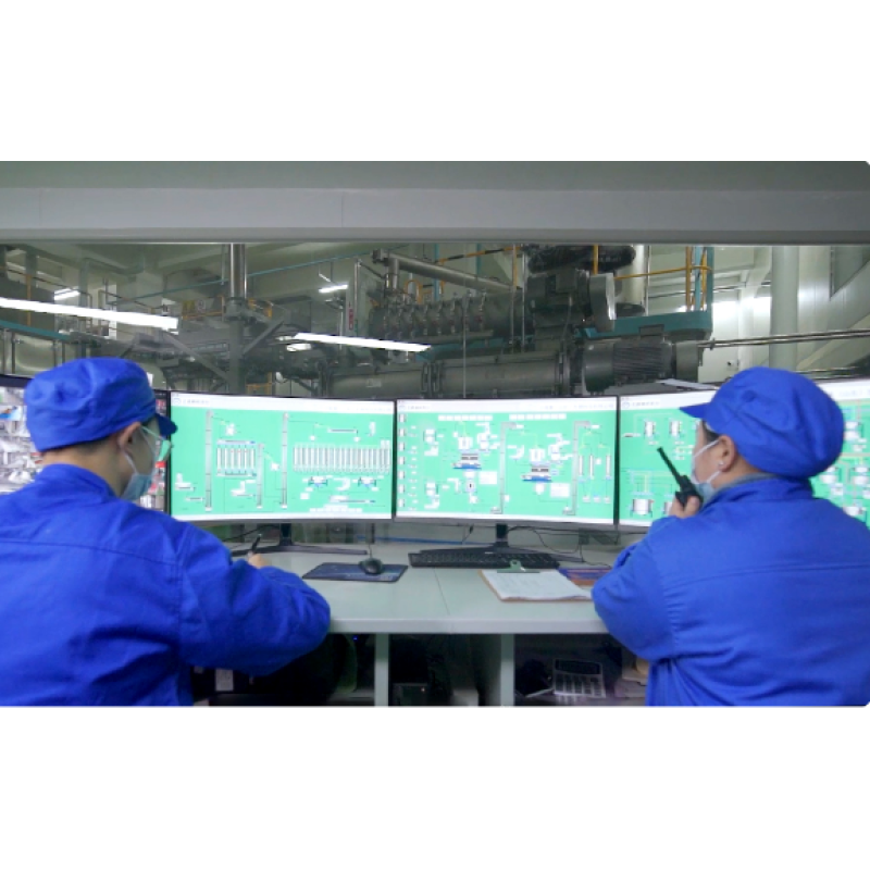 Dry Dog Food Manufacturer - Customized Brand ODM Adult Diet