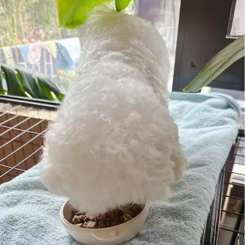 Dry Dog Food Factory - 100% Natural Grain Free Customization