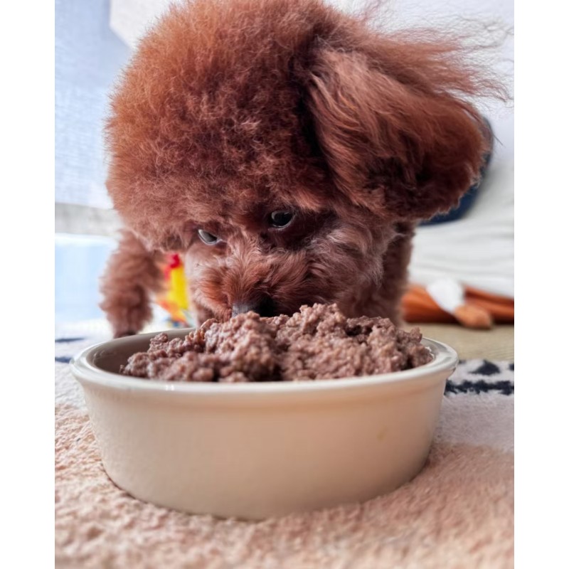 Cat Food Manufacturer - Wet Canned Products 85g Wholesale Supply