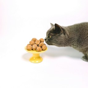 Freeze Dried Treats Supplier - Mixed Flavors Wholesale ODM OEM