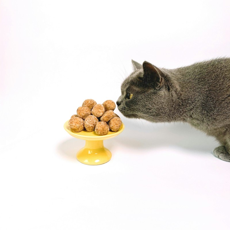 Freeze Dried Treats Supplier - Mixed Flavors Wholesale ODM OEM