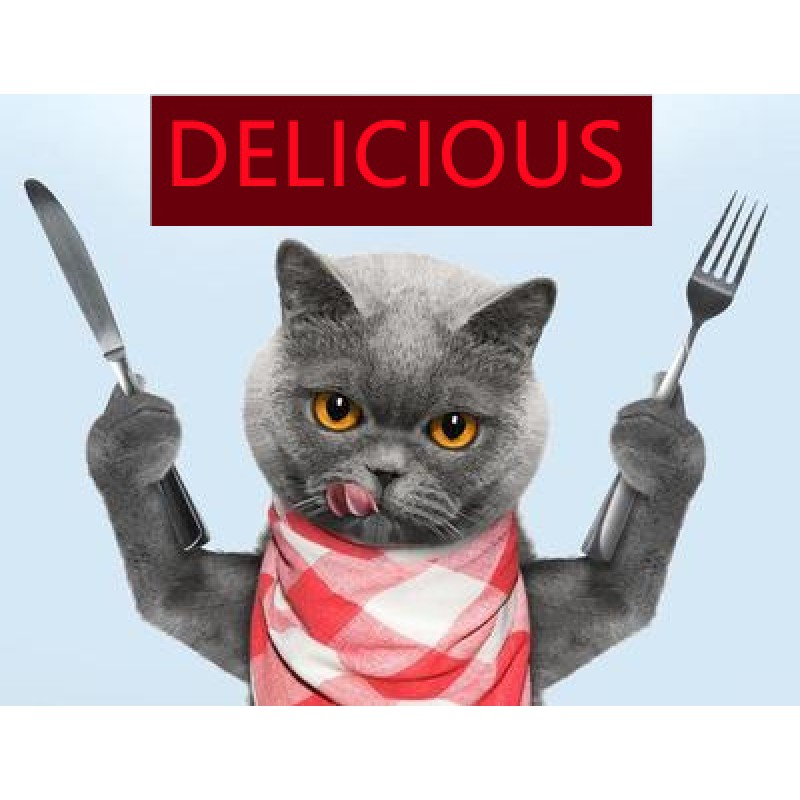 Healthy Cat Treat Factory - 85g Pet Snack Dog Cat Treat Canin