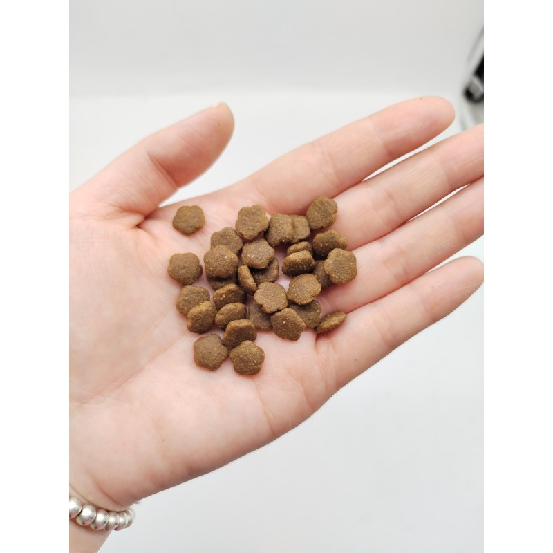 Cat Dry Food Factory - High Quality High Protein Pet Food