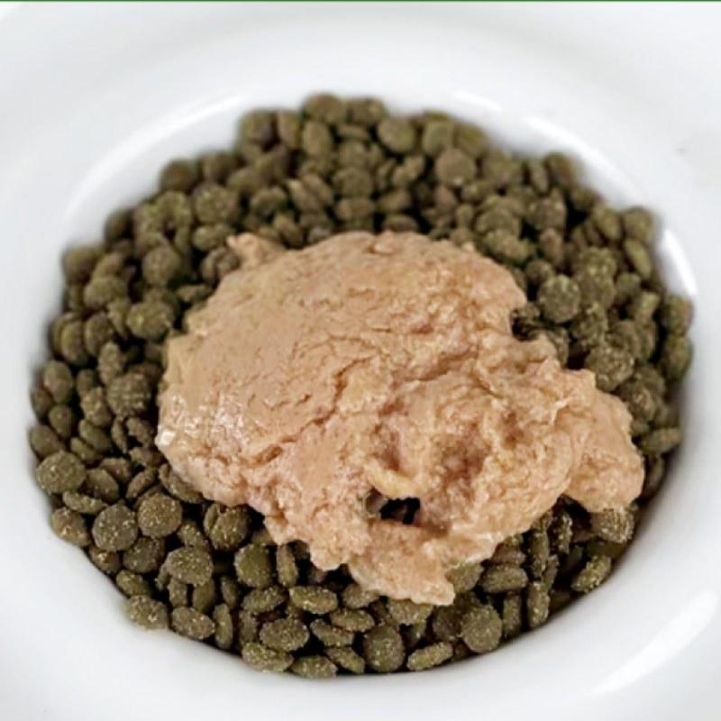 Healthy Cat Treat Factory - 85g Pet Snack Dog Cat Treat Canin