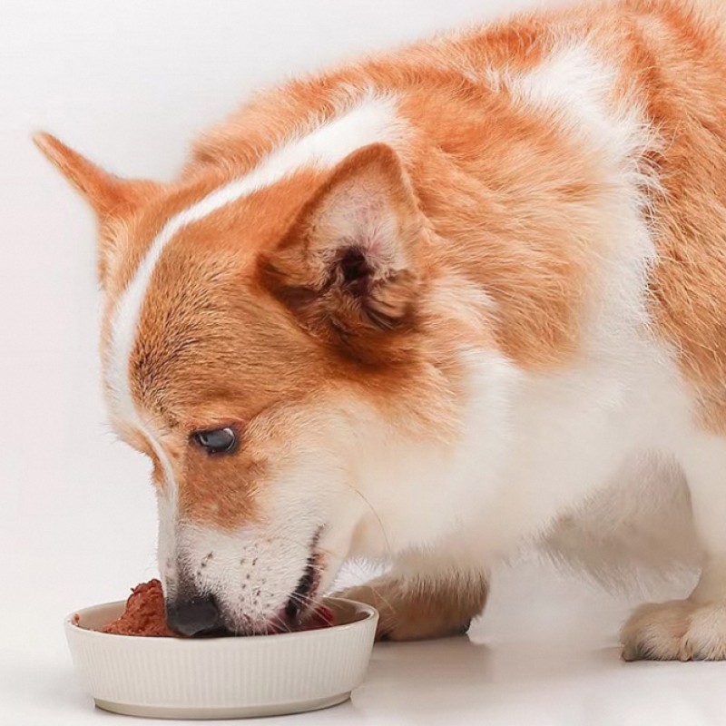 Pet Food Manufacturer - Best Quality Wholesale Canin Dog Treats