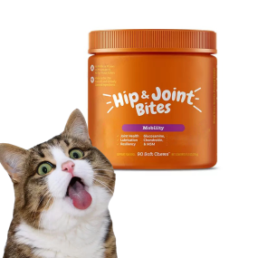 Vitamin Supplement Supplier - Hip Joint Glucosamine Chondroitin Chew