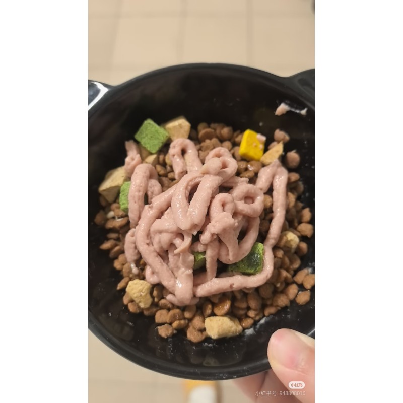 Cat Food Manufacturer - High Quality Grain-free 10kg Bag