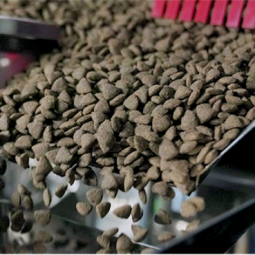 Dry Dog Food Manufacturer - Customized Brand ODM Adult Diet