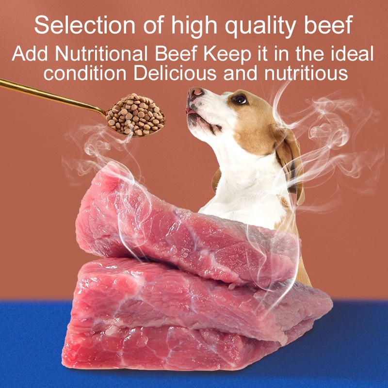 Dog Food Supplier - Holistic Croquettes Natural Bulk Food