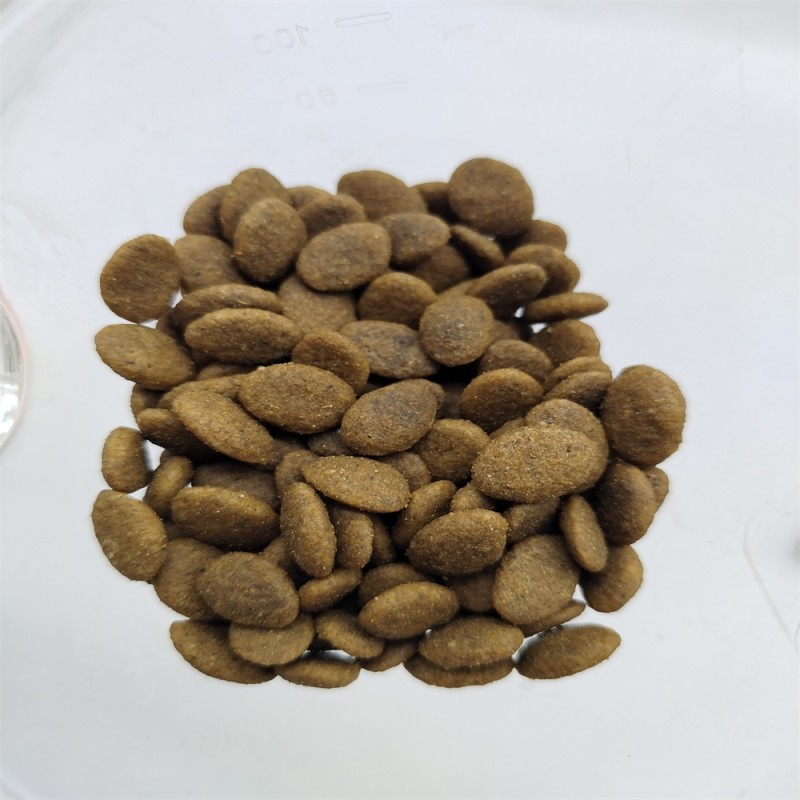 Dry Cat Food Manufacturer - High Protein Grain-Free Bulk ODM