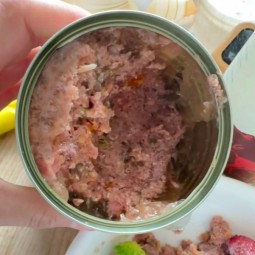 Pet Treats Supplier - 15g Squeezable Salmon Chicken Tuna Cream