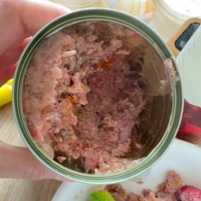 Pet Treats Supplier - 15g Squeezable Salmon Chicken Tuna Cream