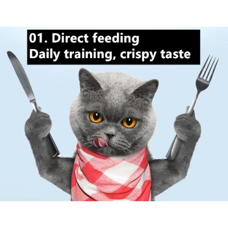 Dog Treat Supplier - 100% Natural Walking Dummy 38%-60% Protein