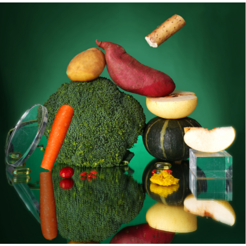 Dog Food Factory - Best OEM Dry Food Wet Dry Combo