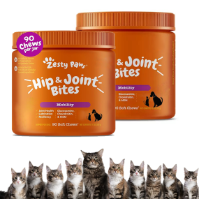 Pet Nutrition Manufacturer - Scientifically Formulated Joint Care