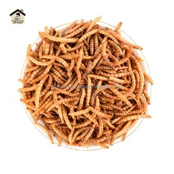 Pet Food Manufacturer - High Protein Nutritious Dried Mealworm Fighting Cock Feed