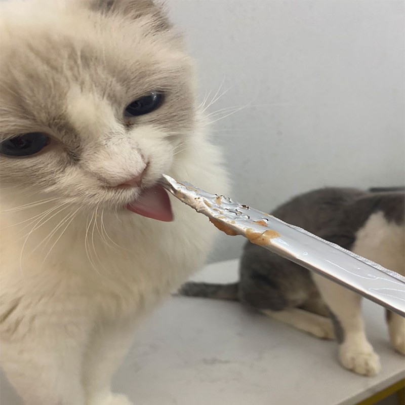 Cat Snacks Supplier - Customizable ODM OEM Small Fish-Shaped Catnip Cookie Mint