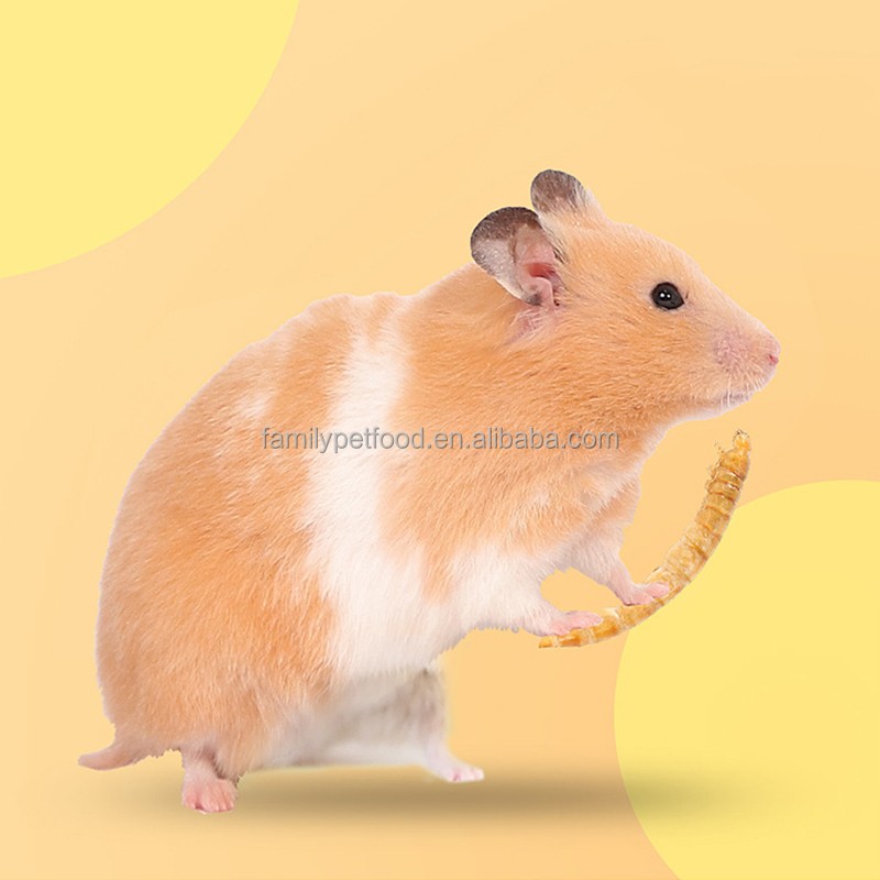 Pet Food Supplier - Organic Bio Foods High Protein Bird Food Hamster Snacks