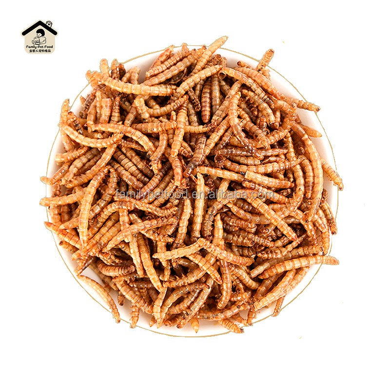 Pet Food Supplier - Wholesale High-quality Premium Tenebrio Molitor Larvae