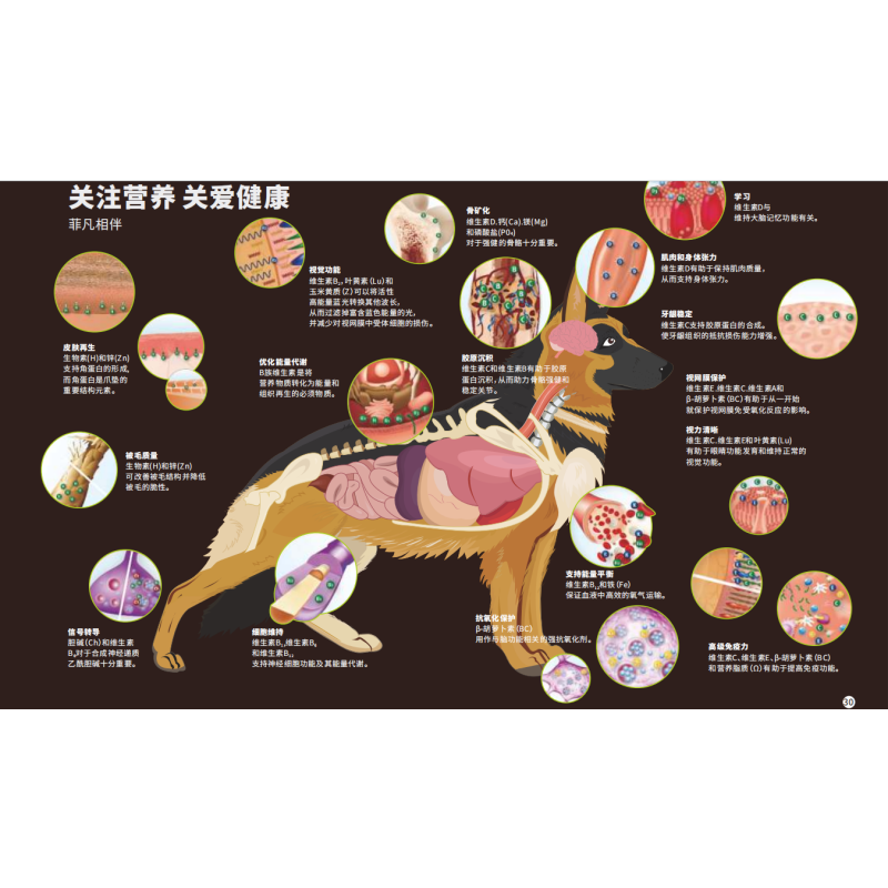 Dog Treats Manufacturer - ODM OEM Teeth Healthy Clean Pet Food Dental Twisted Stick