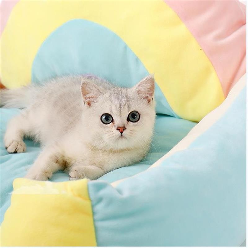 Human Pet Bed Supplier - Human Dog Bed for People Adults with Toy Balls Detachable