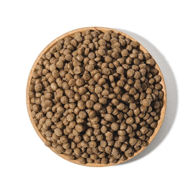 Dry Cat Food Supplier - OEM Custom Factory Wholesale High Protein Natural